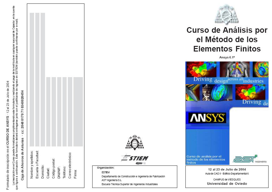 Course of Finite Element Analysis (July 2004)